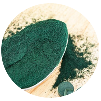 Sodium Copper Chlorophyllin