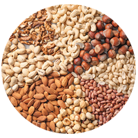 protein
